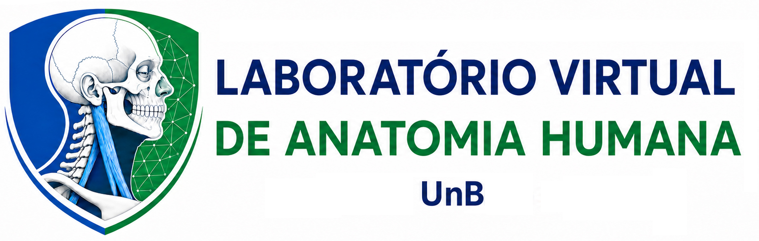 Anatomy Lab
